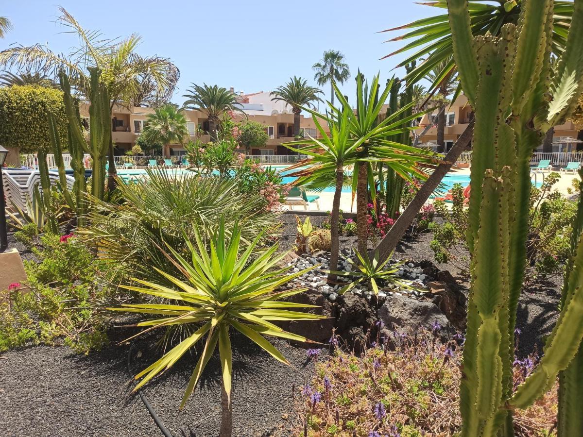 Sunnyapartment Corralejo Exterior photo